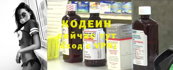 ECSTASY Алзамай