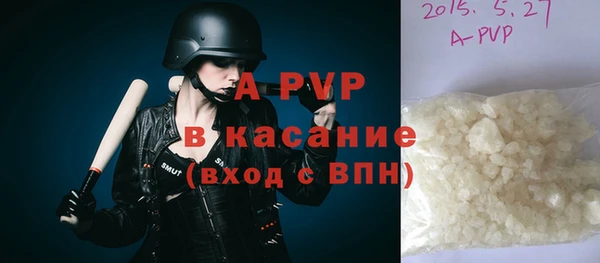 ECSTASY Алзамай