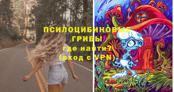 соль ск Алексин