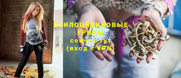 ECSTASY Алзамай