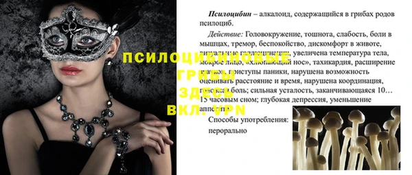 ECSTASY Алзамай