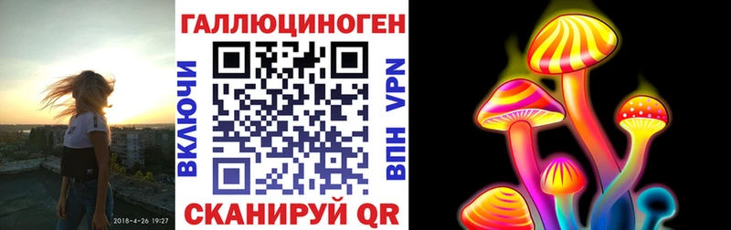 OMG зеркало  купить  цена  Краснообск  Галлюциногенные грибы Cubensis 